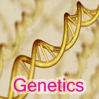 Genetics - Notes